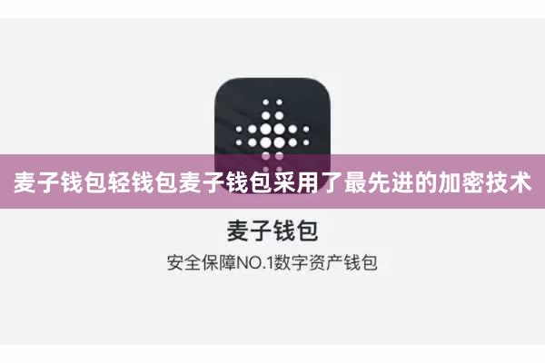 麦子钱包轻钱包麦子钱包采用了最先进的加密技术