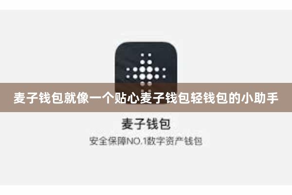 麦子钱包就像一个贴心麦子钱包轻钱包的小助手
