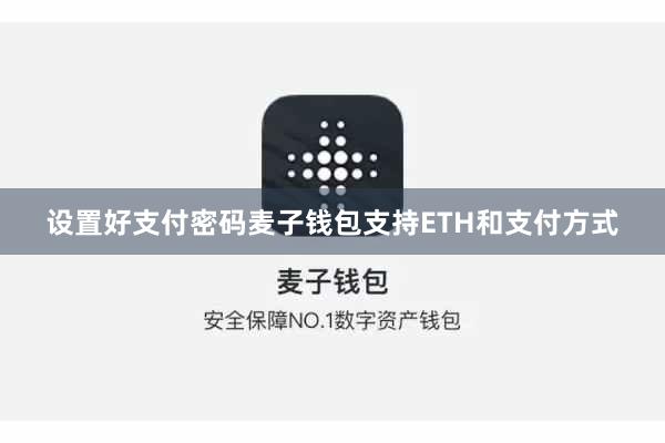 设置好支付密码麦子钱包支持ETH和支付方式