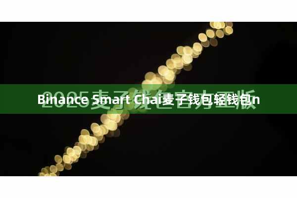 Binance Smart Chai麦子钱包轻钱包n